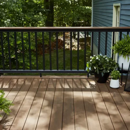 Deck ideas: Light brown deck with plants of different sizes and at varying heights next to dark railing