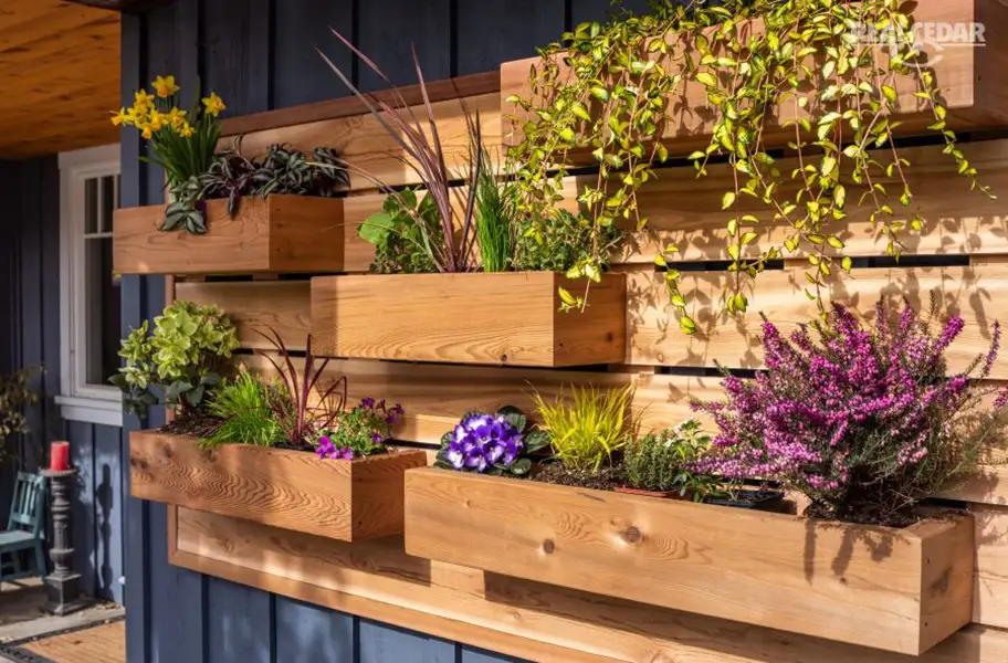 decorative live wall of planter boxes constructed out of western red cedar