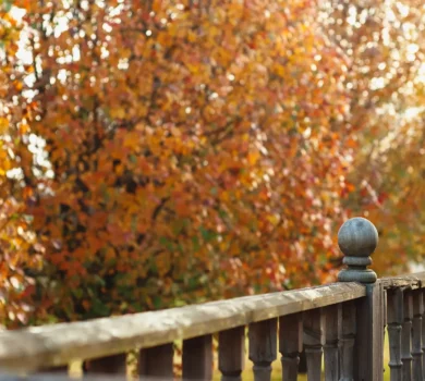 A weathered wood deck railing overlooking autumn leaves.