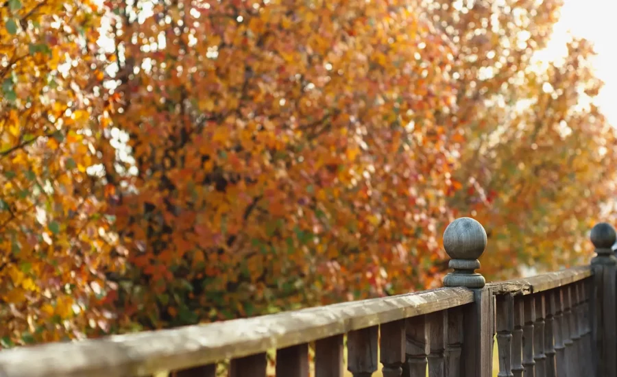 A weathered wood deck railing overlooking autumn leaves.