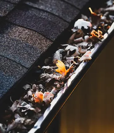 Autumn leaves in gutter.