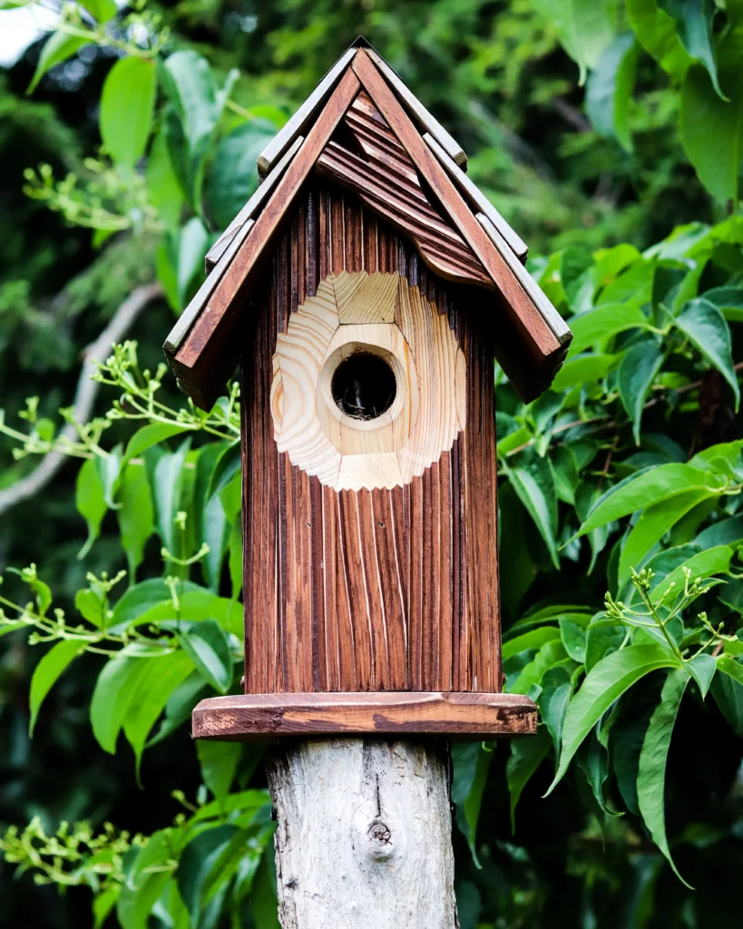 wooden carved birdhouse on a post